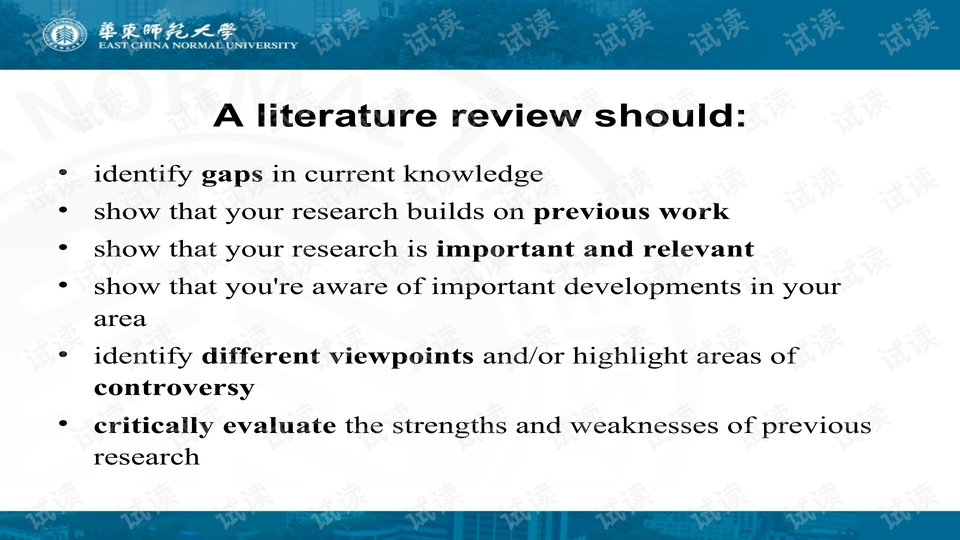 literature review.ppt