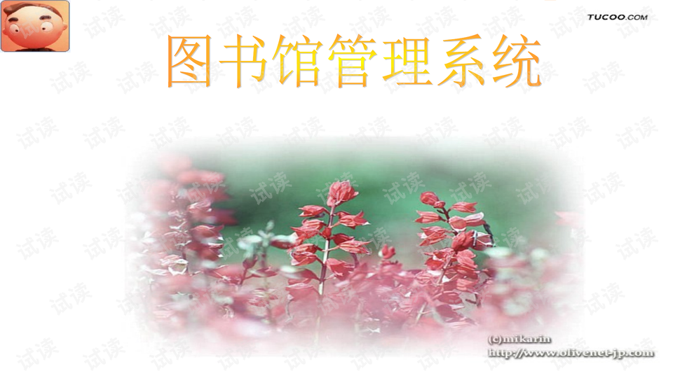 系统管理员进行书目信息维护的活动图-图书馆管理系统(面向对象)