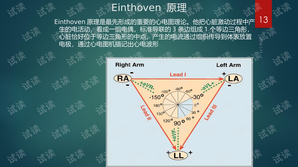 心电向量环在立体面上的投影(第一次投影)-心电图学习