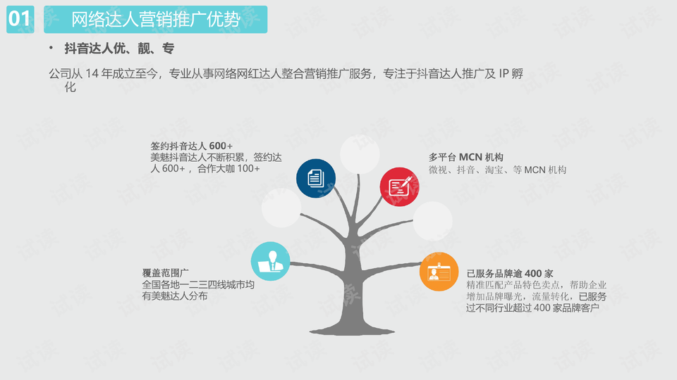 抖音短视频平台网红带货方案.ppt