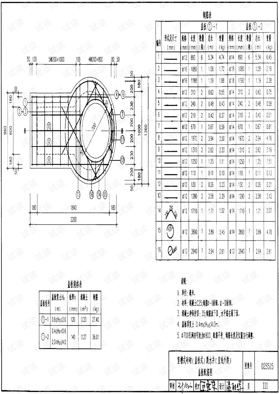 20s515-20s515-11g101-1