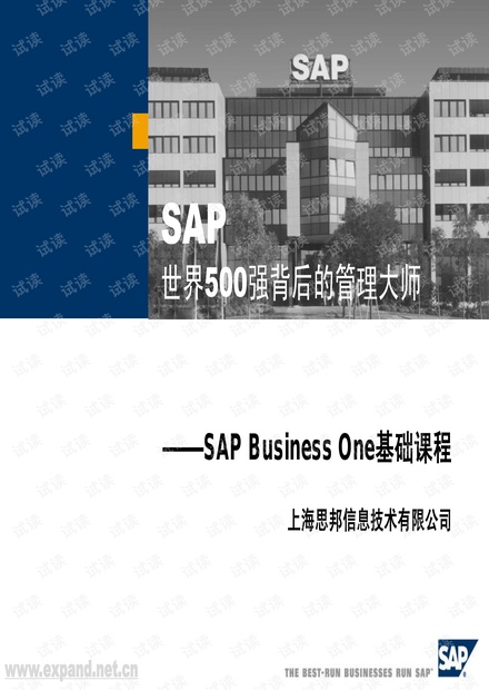 SAP Business One入门教程：打造企业管理利器 - CSDN文库