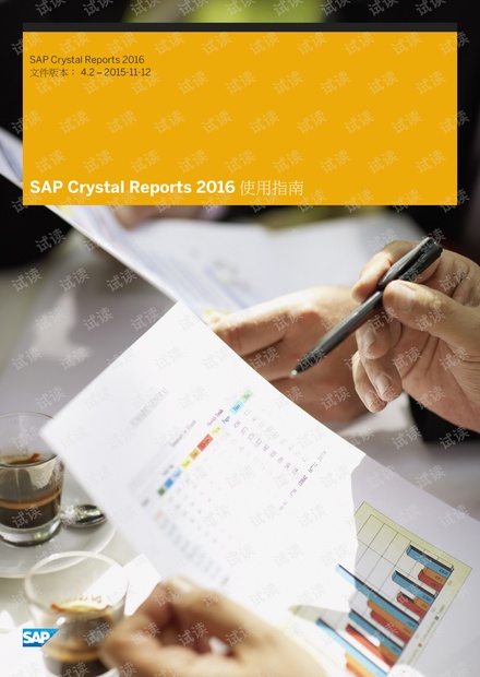 水晶报表SAP Crystal Reports 2016_中文用户指南