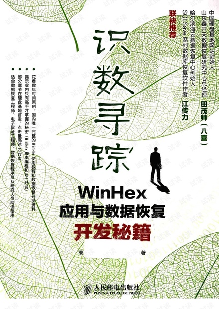 winhex 数据恢复