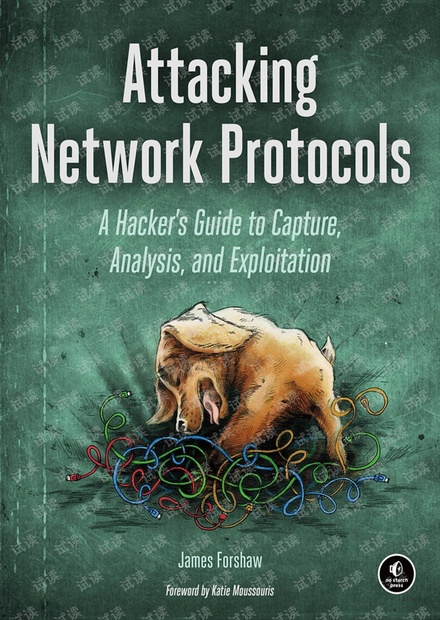 Attacking.Network.Protocols.1593277504.pdf