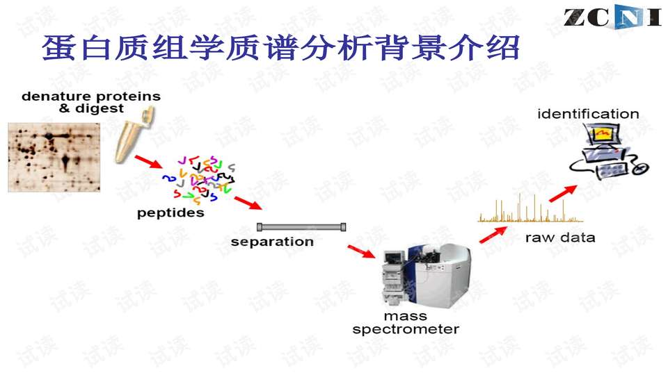 蛋白组学数据分析面试,蛋白组学数据分析面试题及答案
