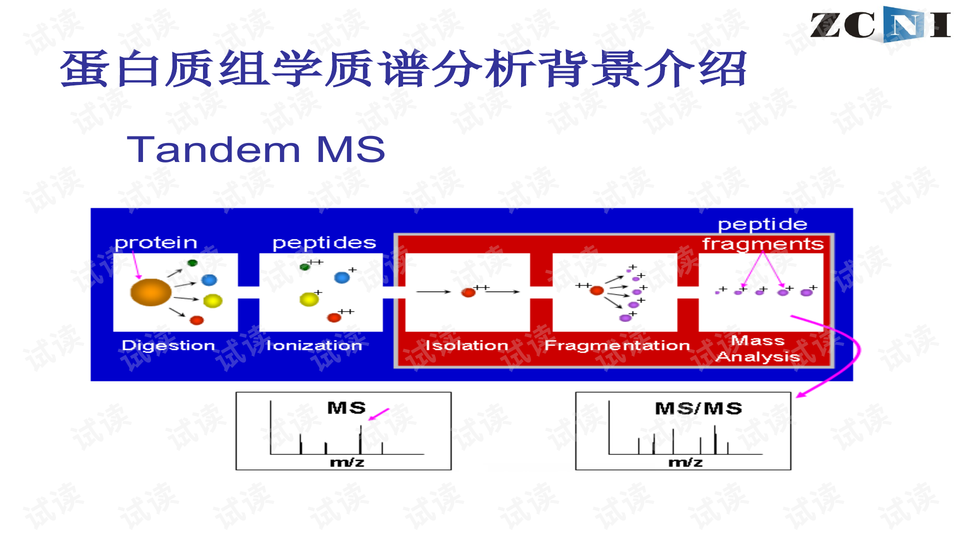 蛋白组学数据分析面试,蛋白组学数据分析面试题及答案