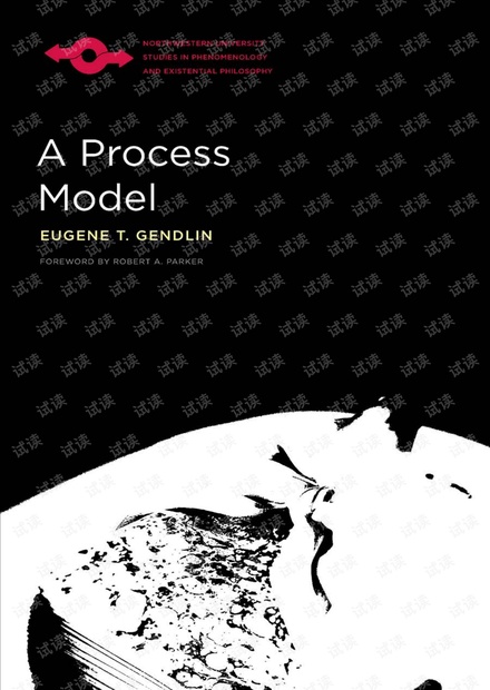Northwestern University - A Process Model.2018.pdf
