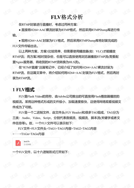 FLV格式分析