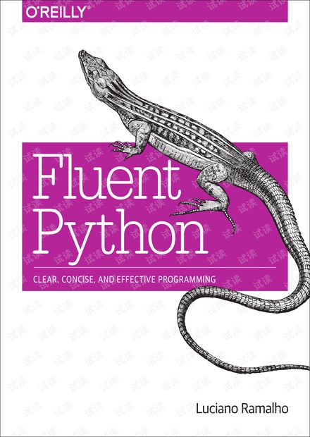 fluent python(非扫描版)