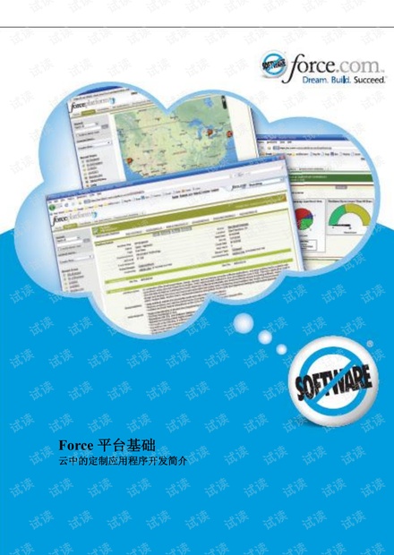 Salesforce基础中文手册