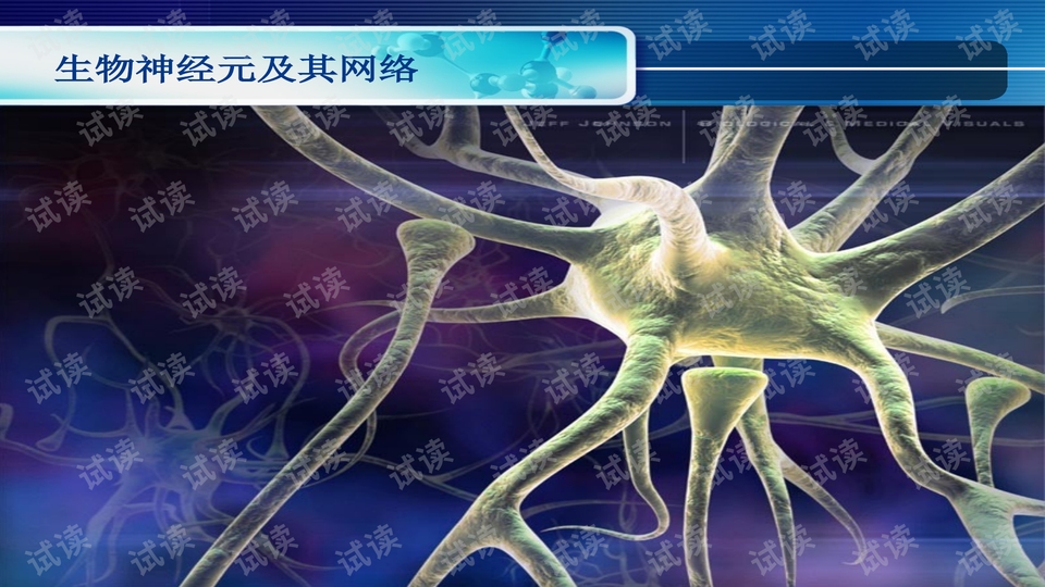 神经网络ppt 01