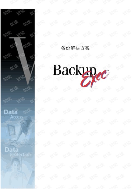 Veritas存储备份模板