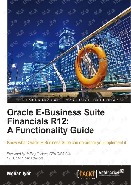 Oracle ERP R12 财务功能指南