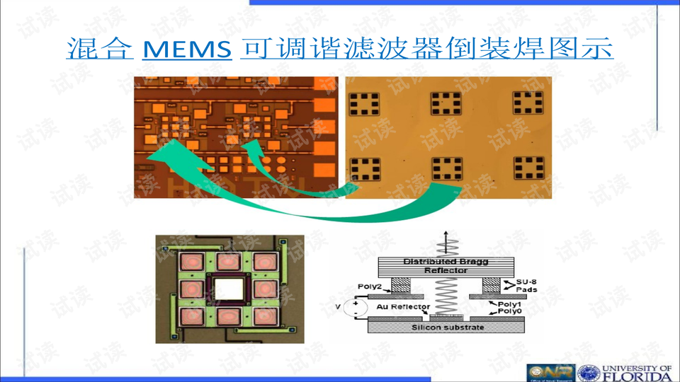 0013-2007042de5cbf40a1e6d74f97ba13746_preview-wide.png