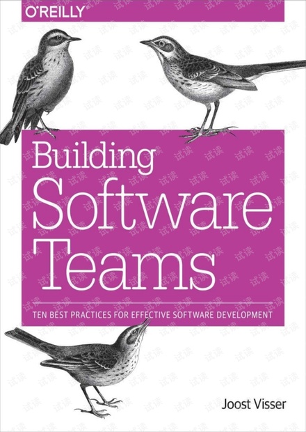软件开发团队管理者必看-如何建立管理软件开发团队Building Software Team