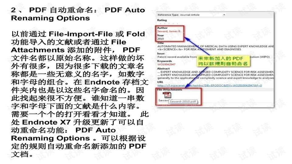 0019-43efc0b8b73074e290b7432d5f05904e_preview-wide.png