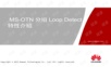 MS-OTN分组Loop Detect特性介绍