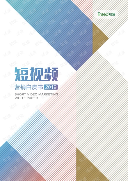 2019短视频营销白皮书.pdf