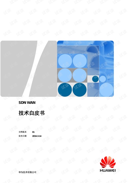 SDN技术白皮书