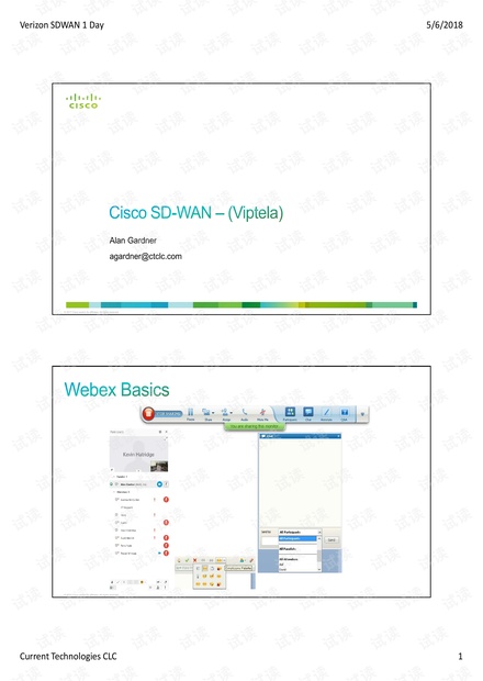 Viptela SDWAN Training.pdf