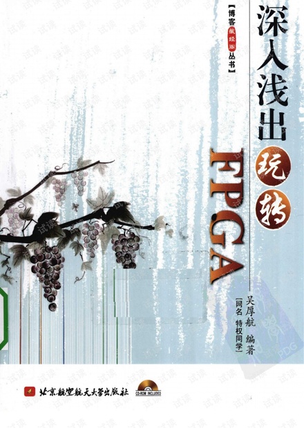 深入浅出玩转fpga.pdf