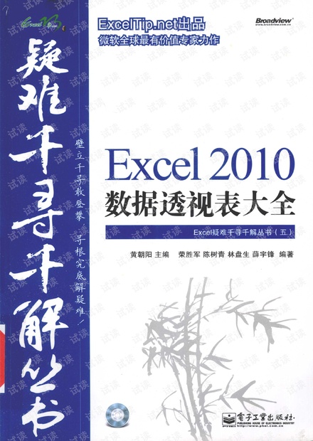 Excel2010数据透视表大全.pdf