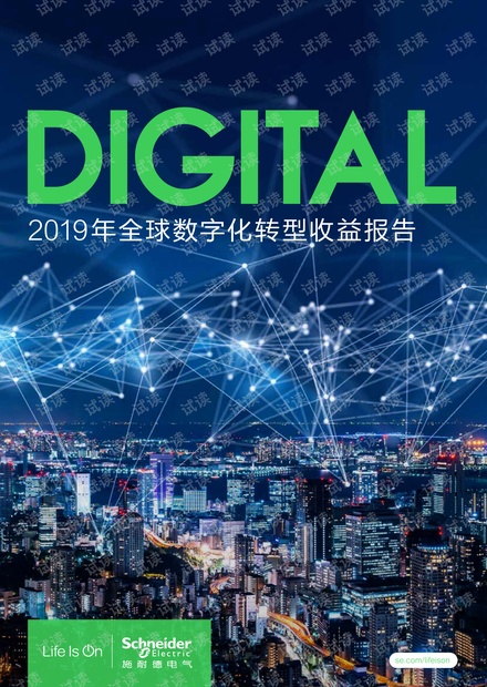 2019年全球数字化转型收益报告.PDF