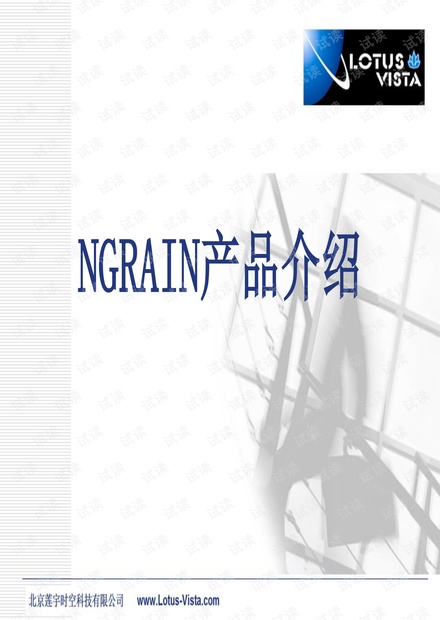 NGRAIN交互式开发平台介绍.pdf