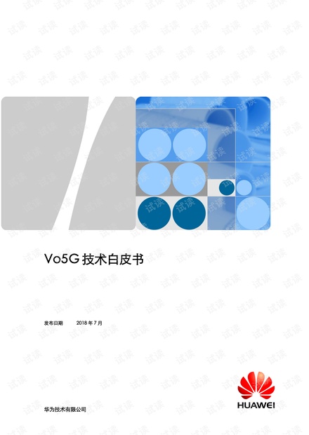 Vo5G技术白皮书.pdf