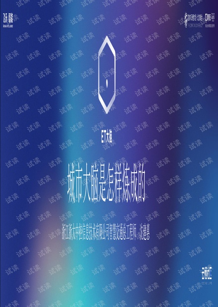 城市大脑是怎样炼成的.pdf