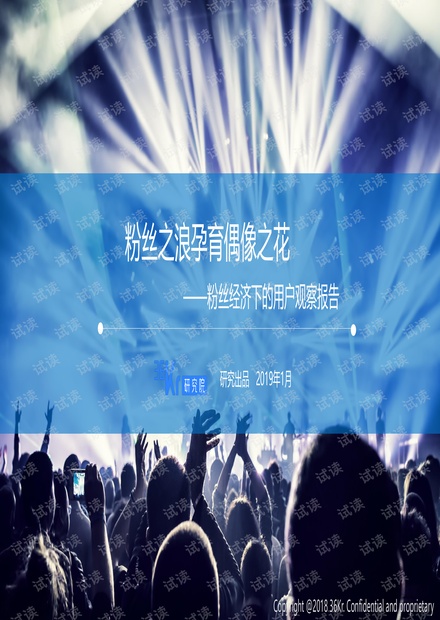 粉丝经济下的用户行为观察报告-36Kr-201901.pdf