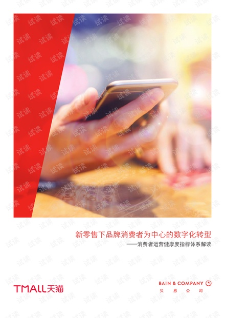 新零售下品牌消费者为中心的数字化转型-贝恩-天猫-201808.pdf