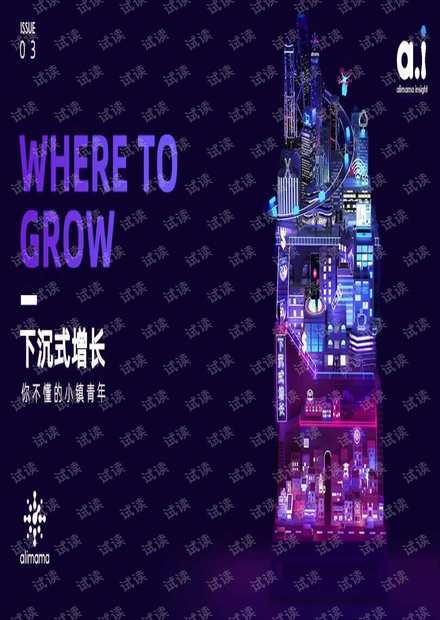 下沉市场洞察报告:你不懂的小镇青年-阿里妈妈-201908.pdf