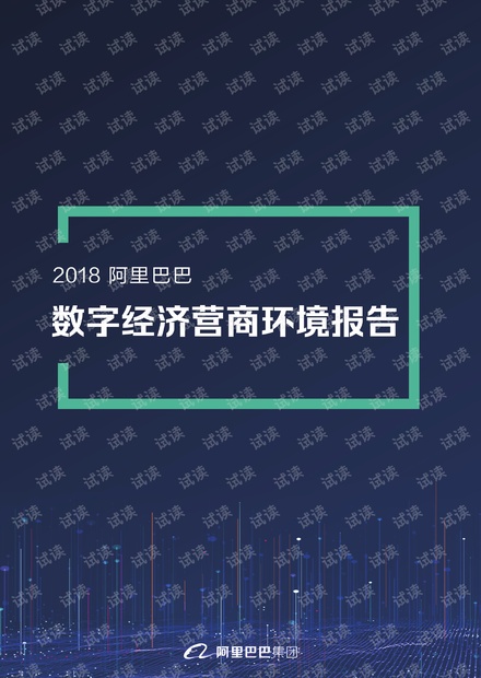 数字经济营商环境报告-阿里巴巴-201905.pdf