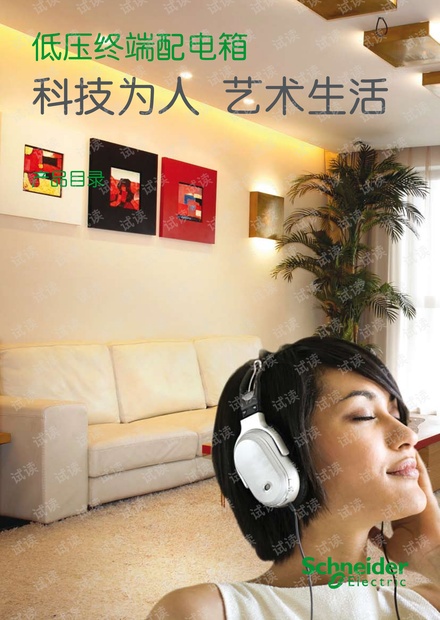 施耐德低压终端配电箱产品目录.pdf