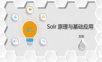 Solr原理以及基本应用.pptx