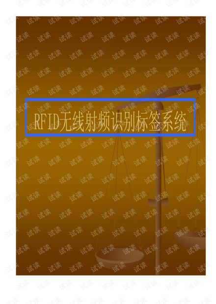 RFID无线射频识别标签系统.pdf