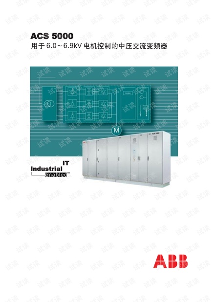 ABB ACS5000 选型样本.pdf