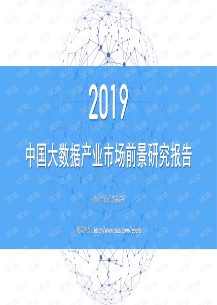 2019年中国大数据产业市场前景研究报告.pdf