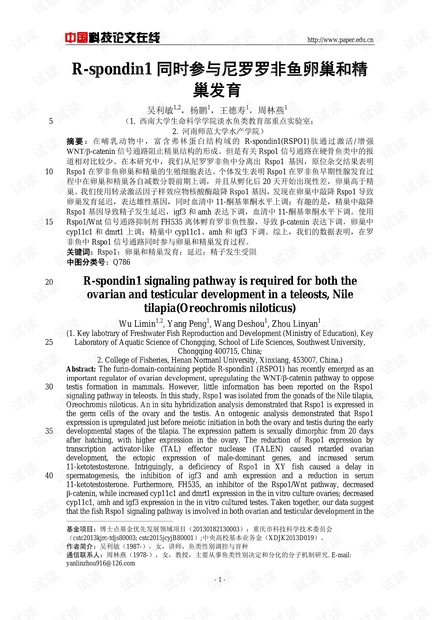 R-spondin1同时参与尼罗罗非鱼卵巢和精巢发育