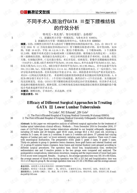 不同手术入路治疗GATA Ⅲ型下腰椎结核的疗效分析