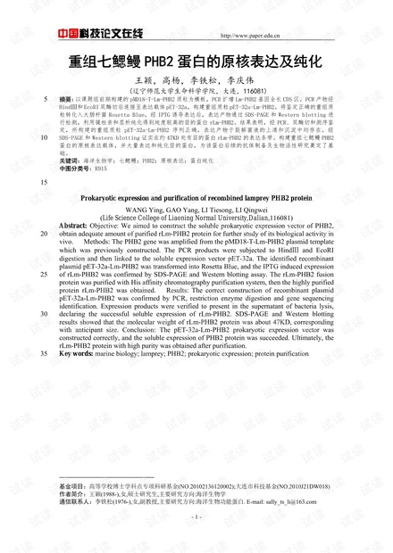 重组七鳃鳗PHB2蛋白的原核表达及纯化