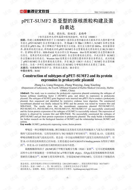 pPET-SUMF2各亚型的原核质粒构建及蛋白表达