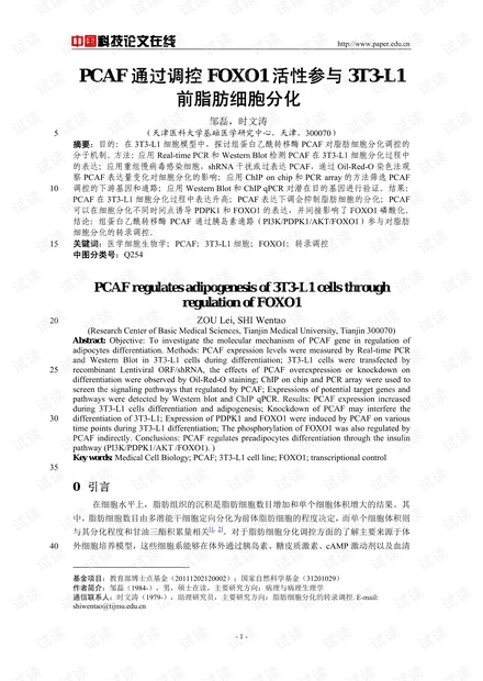 PCAF通过调控FOXO1活性参与3T3-L1前脂肪细胞分化