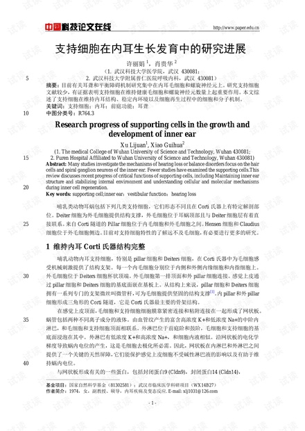 支持细胞在内耳生长发育中的研究进展