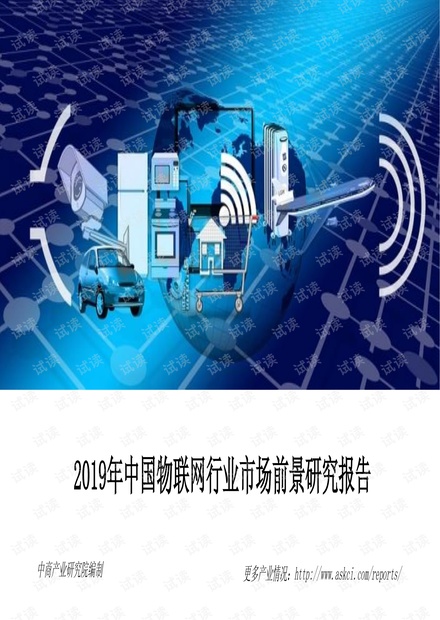 2019年中国物联网行业市场前景研究报告1.pdf
