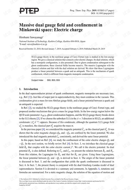 Minkowski空间中的大规模双尺度场和约束:电荷