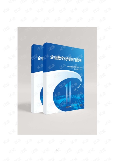 企业数字化转型白皮书.pdf