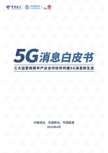 5G消息白皮书.pdf
